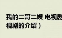 我的二哥二嫂 电视剧（关于我的二哥二嫂 电视剧的介绍）