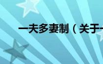 一夫多妻制（关于一夫多妻制的介绍）