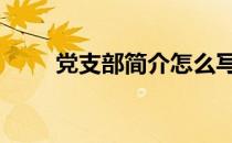 党支部简介怎么写 党支部简介模板