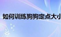 如何训练狗狗定点大小便 如何训练狗不咬人