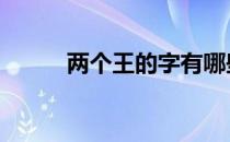 两个王的字有哪些 两个王念什么