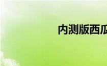 内测版西瓜视频 内测