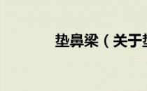 垫鼻梁（关于垫鼻梁的介绍）