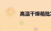 高温干燥箱批发 高温干燥箱