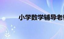 小学数学辅导老师 小学数学辅导