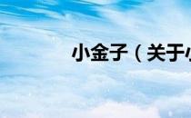 小金子（关于小金子的介绍）
