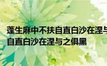 蓬生麻中不扶自直白沙在涅与之俱黑什么意思 蓬生麻中不扶自直白沙在涅与之俱黑