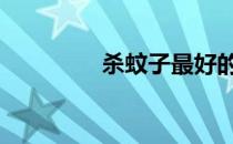 杀蚊子最好的方法 杀蚊子
