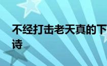 不经打击老天真的下一句 不经打击老天真全诗