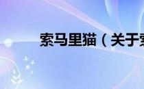 索马里猫（关于索马里猫的介绍）