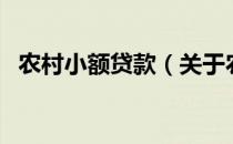 农村小额贷款（关于农村小额贷款的介绍）