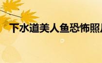 下水道美人鱼恐怖照片图片 下水道美人鱼
