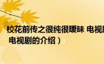 校花前传之很纯很暧昧 电视剧（关于校花前传之很纯很暧昧 电视剧的介绍）