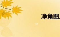 净角图片 净角