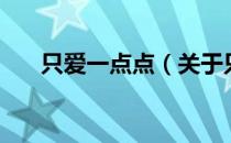 只爱一点点（关于只爱一点点的介绍）
