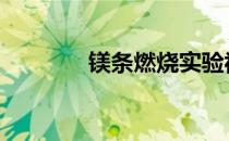镁条燃烧实验视频 镁条燃烧