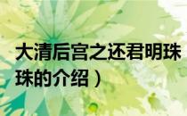 大清后宫之还君明珠（关于大清后宫之还君明珠的介绍）