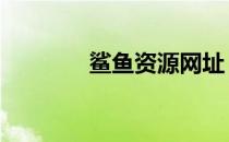 鲨鱼资源网址 鲨鱼资料大全
