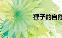 狸子的自然繁育 狸子