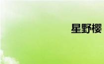 星野樱 星野樱
