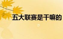 五大联赛是干嘛的 五大联赛是哪五大
