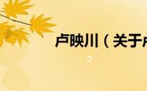 卢映川（关于卢映川的介绍）