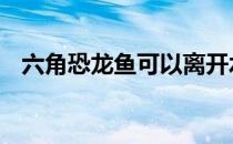 六角恐龙鱼可以离开水吗 六角恐龙鱼价格