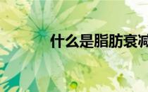 什么是脂肪衰减 什么是脂肪烃