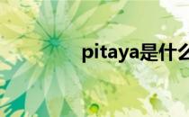 pitaya是什么意思 pitaya