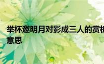 举杯邀明月对影成三人的赏析视频 举杯邀明月对影成三人的意思