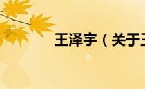 王泽宇（关于王泽宇的介绍）