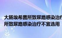 大肠埃希菌所致尿路感染治疗不宜选用克林霉素 大肠埃希菌所致尿路感染治疗不宜选用