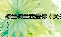 梅兰梅兰我爱你（关于梅兰梅兰我爱你的介绍）