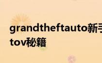grandtheftauto新手怎么玩 grandtheftautov秘籍