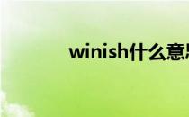 winish什么意思 winiso软件
