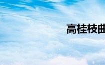 高桂枝曲剧 高桂