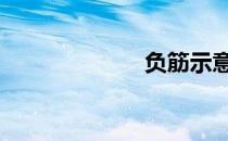 负筋示意图 负筋