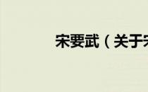 宋要武（关于宋要武的介绍）
