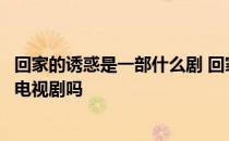 回家的诱惑是一部什么剧 回家的欲望和回家的诱惑是同一部电视剧吗