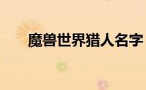魔兽世界猎人名字 魔兽世界猎人名字