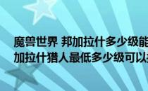 魔兽世界 邦加拉什多少级能抓 魔兽世界巫妖王之怒虎王邦加拉什猎人最低多少级可以抓