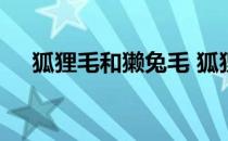 狐狸毛和獭兔毛 狐狸毛和獭兔毛哪个好