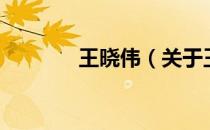 王晓伟（关于王晓伟的介绍）