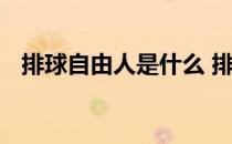 排球自由人是什么 排球自由人是什么意思