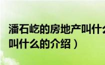 潘石屹的房地产叫什么（关于潘石屹的房地产叫什么的介绍）