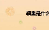 辎重是什么意思 辎重
