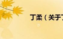 丁柔（关于丁柔的介绍）