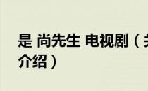 是 尚先生 电视剧（关于是 尚先生 电视剧的介绍）