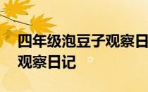 四年级泡豆子观察日记200字 四年级泡豆子观察日记