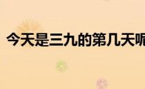今天是三九的第几天呢 今天是三九的第几天